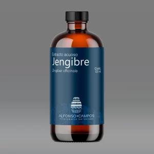 Extracto líquido de Jengibre/Zingiber officinale